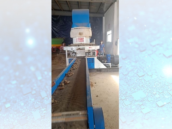 安(an)徽望江(jiang)縣